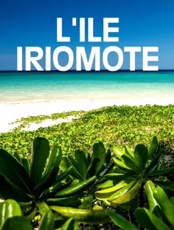 L'ÎLE IRIOMOTE - UN PARADIS TROPICAL AU JAPON