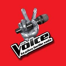 THE VOICE 2024 LE TALK E13