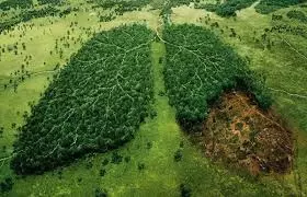 Le dernier poumon du monde