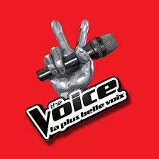 The Voice S11E12