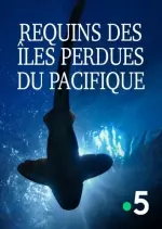 Requins des îles perdues du Pacifique