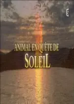 Animal en quête de soleil