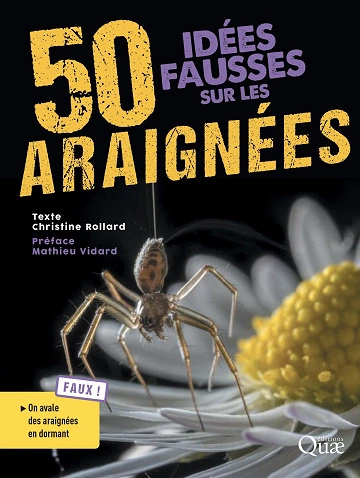 50 idées fausses sur les araignées