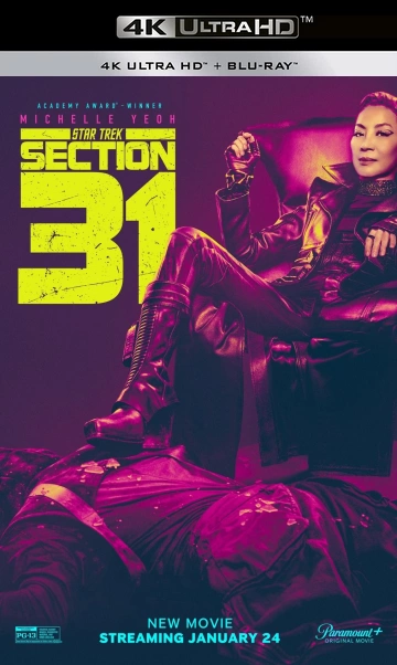 Section 31