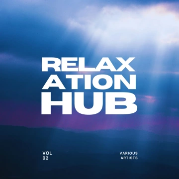 FLAC RELAXATION HUB VOL. 2