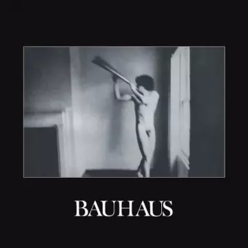 Bauhaus - In the Flat Field